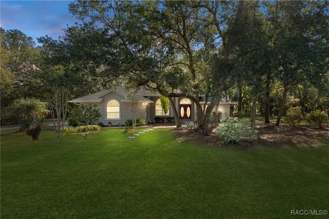 8859 N Amboy Way Citrus Springs FL 34434