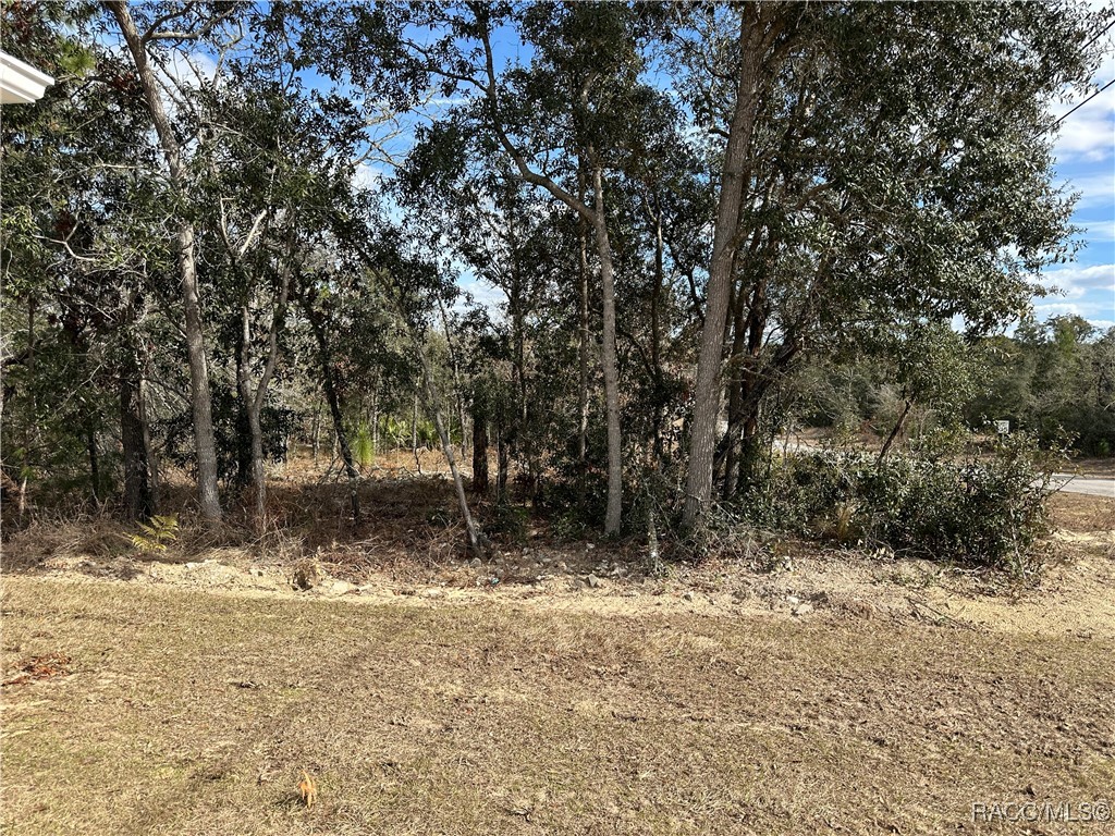 6613 N Bedstrow Boulevard, Dunnellon, Florida image 42