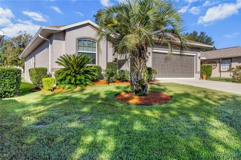 1936 W Chelsea Ann Way Lecanto FL 34461
