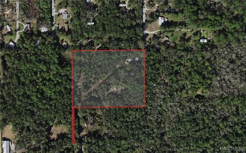 1746 S Palm Avenue Homosassa FL 34448