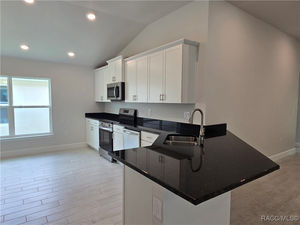 1125 Heron Point Drive