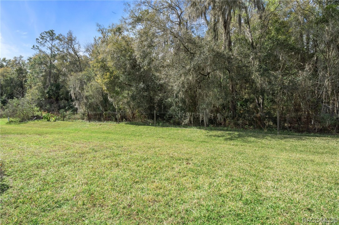 3542 N Chandler Drive, Hernando, Florida image 31