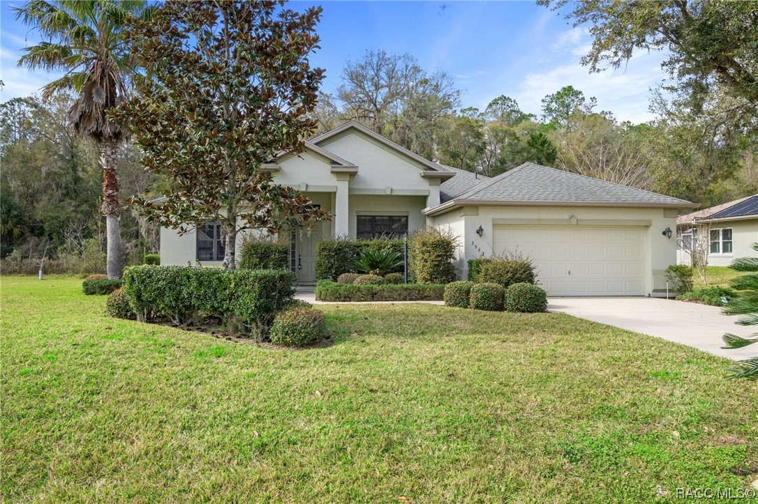 3542 N Chandler Drive, Hernando, Florida image 1