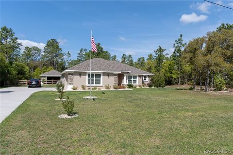 Homes For Sale - 4268 N Saddletree Drive<br/> Beverly Hills, FL 34465