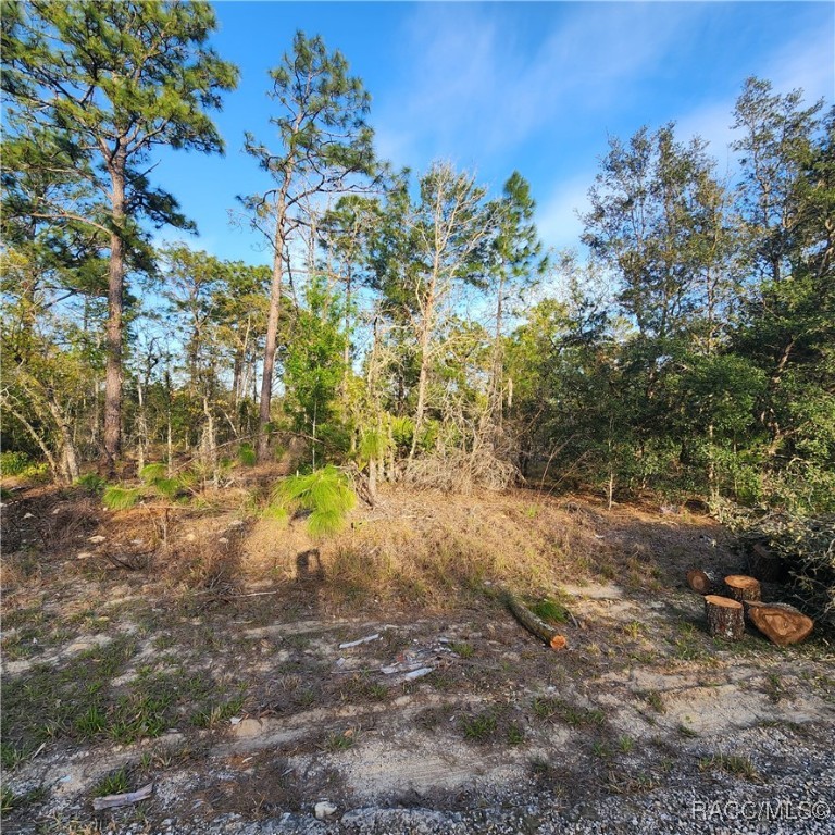 6673 N Libby Terrace, Dunnellon, Florida image 2