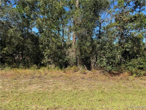 Vacant Land For Sale - 3671 W Galtonia Lane<br/> Citrus Springs, FL 34433