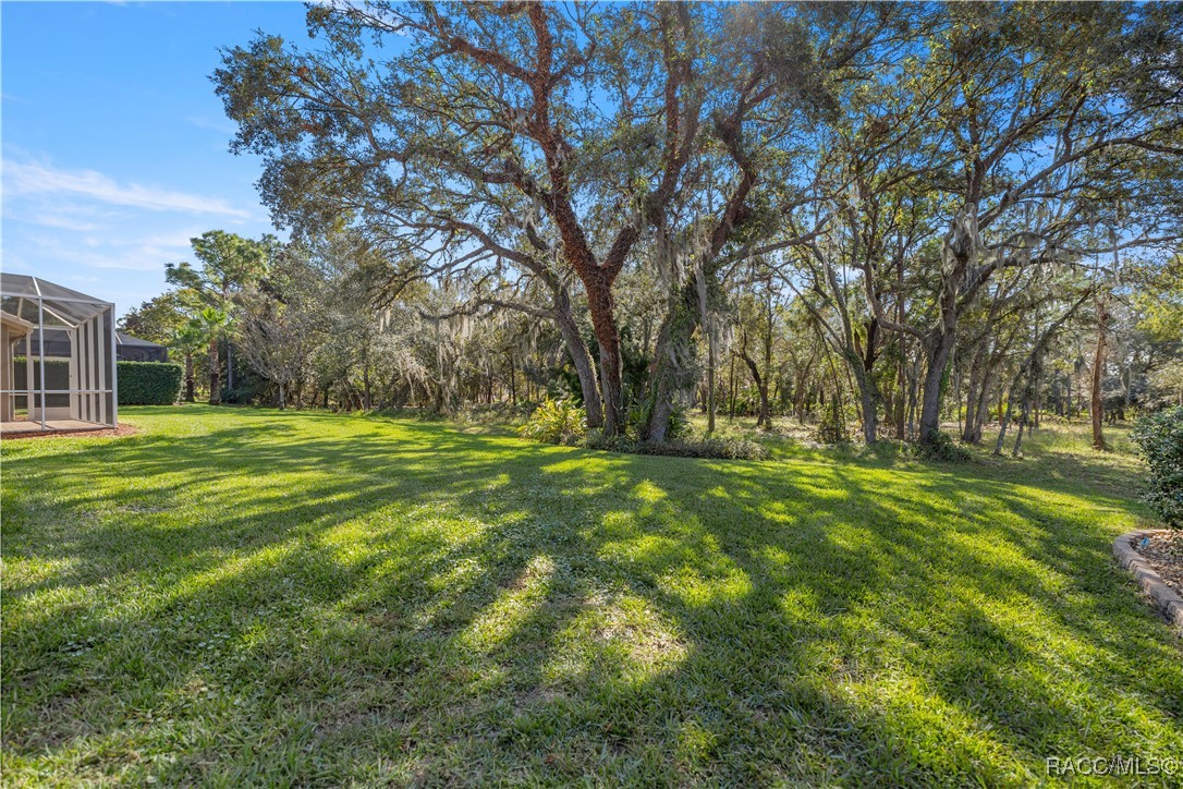 1075 W Diamond Shore Loop, Hernando, Florida image 47