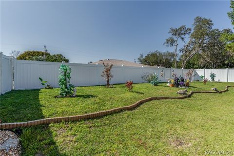 A home in Spring Hill