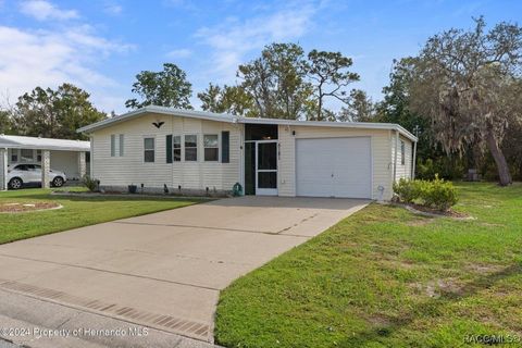 A home in Spring Hill