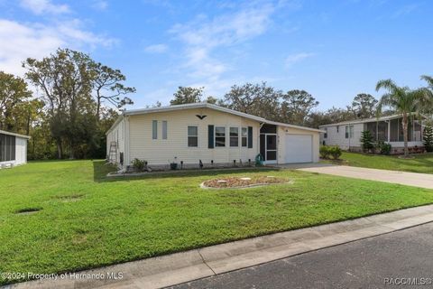 A home in Spring Hill