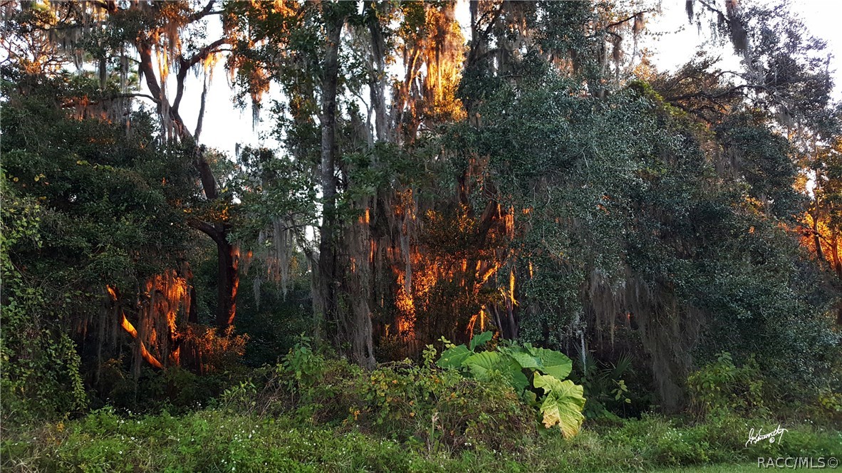 2265 N Heritage Oaks Path, Hernando, Florida image 8