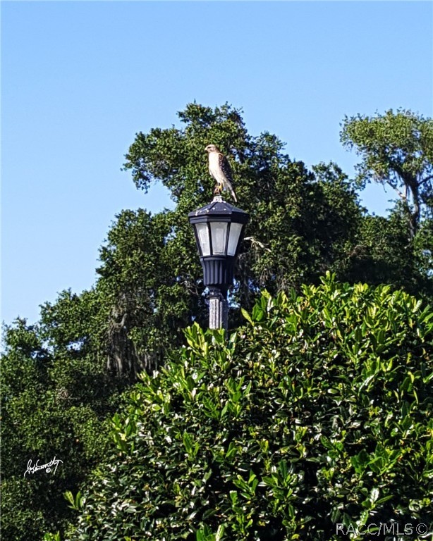 2265 N Heritage Oaks Path, Hernando, Florida image 9