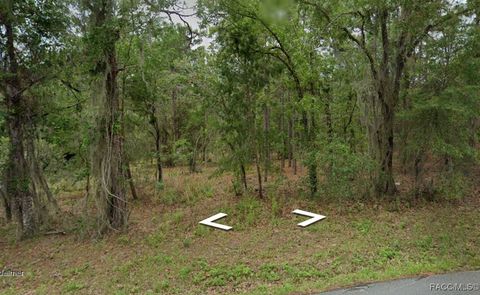 1652 E McKinley Street Hernando FL 34442