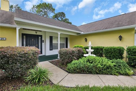 A home in Homosassa