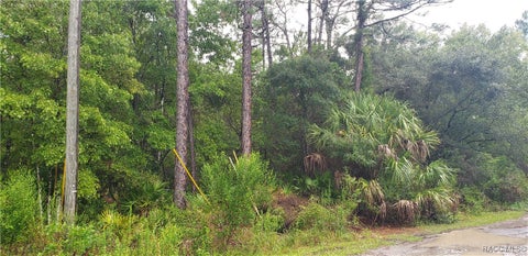 Homes For Sale - 1179 N Tessa Terrace<br/> Citrus County, Crystal River, FL 34429