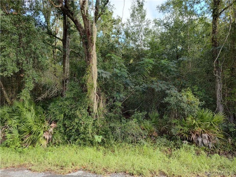 Vacant Land For Sale - 6869 W Van Buren Drive<br/> Citrus County, Homosassa, FL 34448
