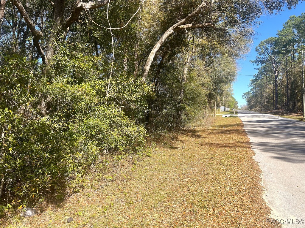 0000 SW 199 Court, Dunnellon, Florida image 2