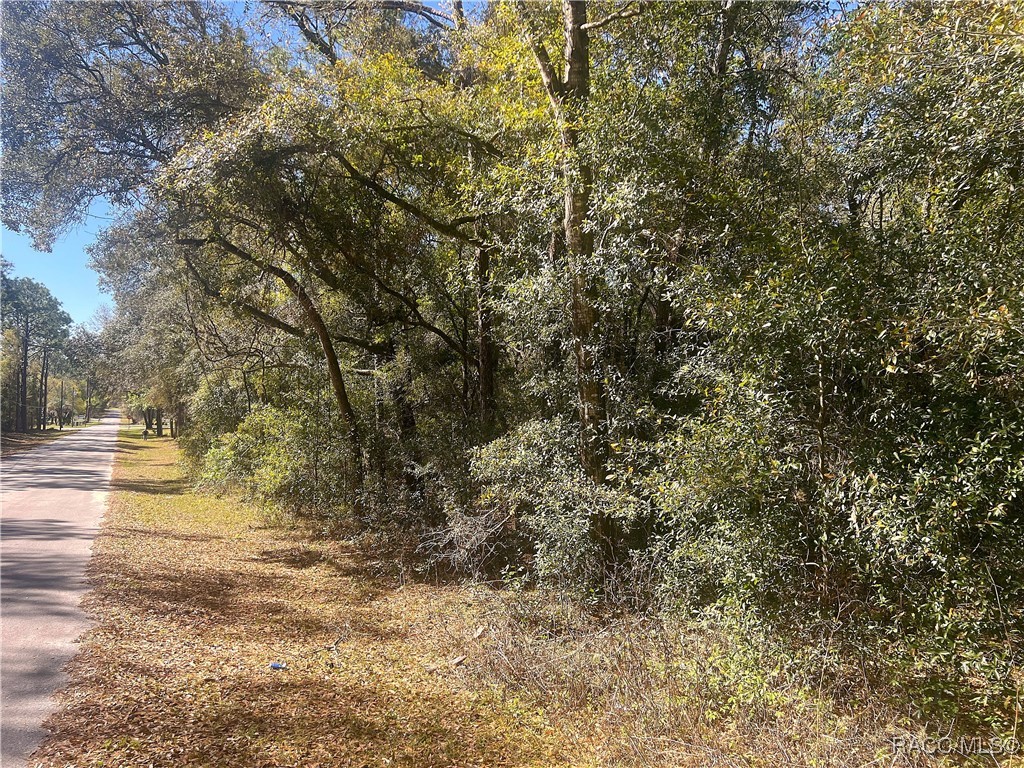 0000 SW 199 Court, Dunnellon, Florida image 4