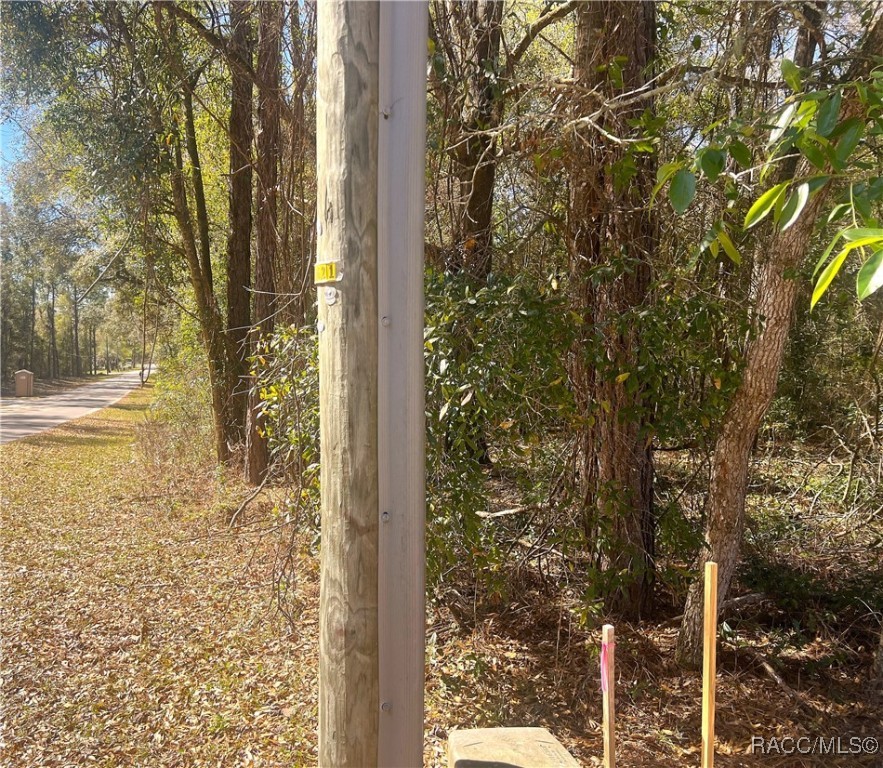 0000 SW 199 Court, Dunnellon, Florida image 3