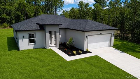 Homes For Sale - 8413 SW 131st Lane<br/> Ocala, FL 34473