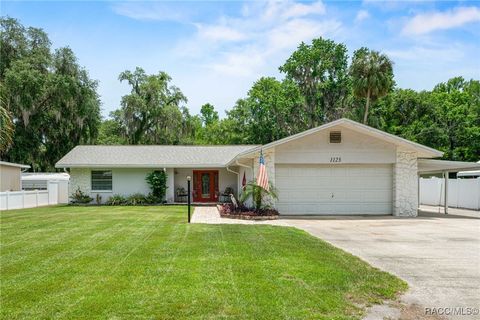 1123 S Waterview Drive Inverness FL 34450