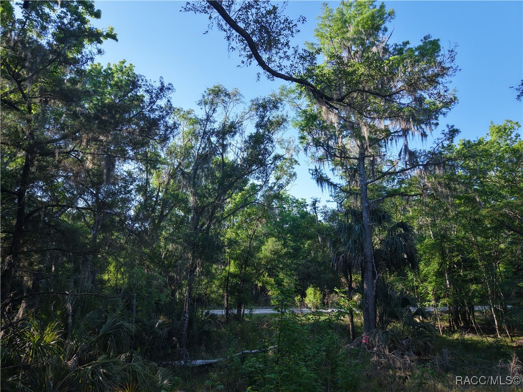 12445 W Foss Groves Path, Inglis, New York image 8