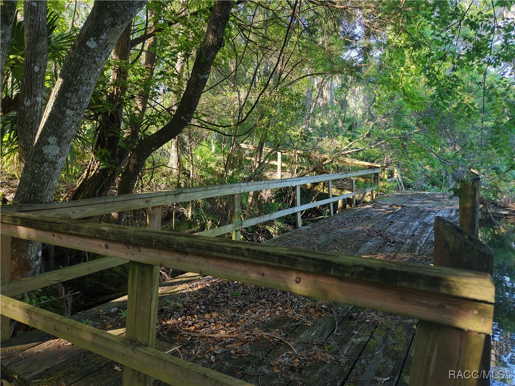 12445 W Foss Groves Path, Inglis, New York image 23
