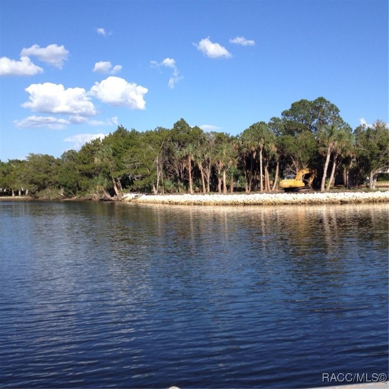 12003 & 11975 W Bald Eagle Court, Crystal River, New York image 1