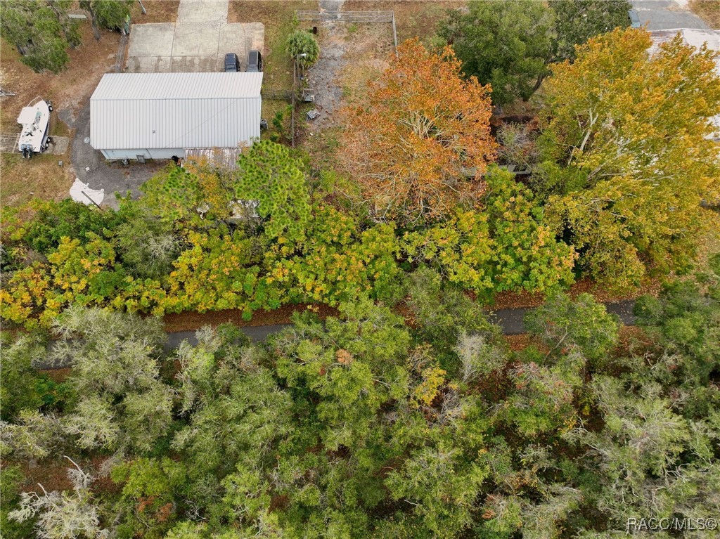 2040 N Florida Avenue, Hernando, Florida image 14