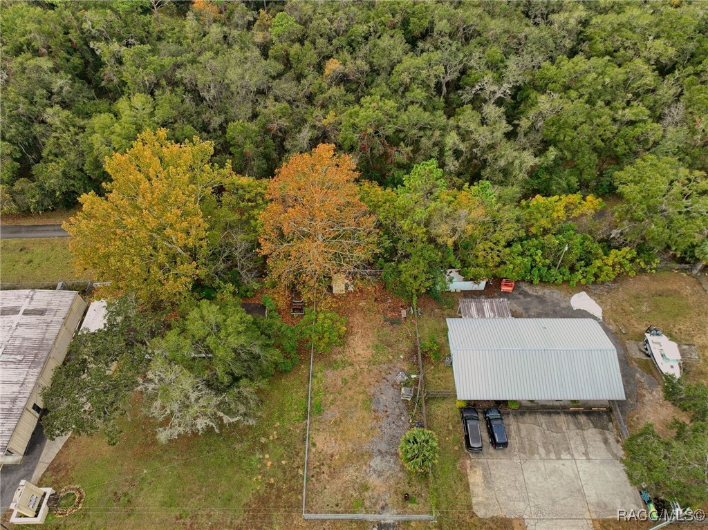 2040 N Florida Avenue, Hernando, Florida image 4