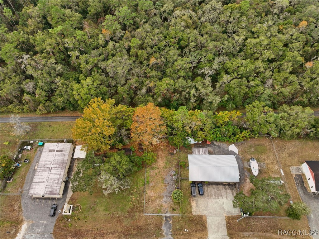2040 N Florida Avenue, Hernando, Florida image 6