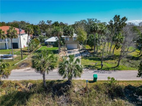 5947 S Shadytree Path Homosassa FL 34448