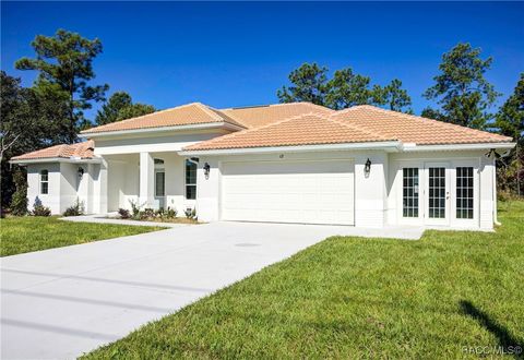 A home in Homosassa