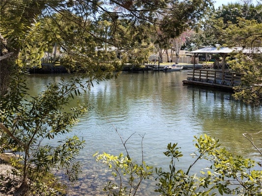 10748 W PINEBARK LN, CRYSTAL RIVER, FL 34429 - Image 1cc17112fc68ec80e9a4cc65d4bcf842/2092369963