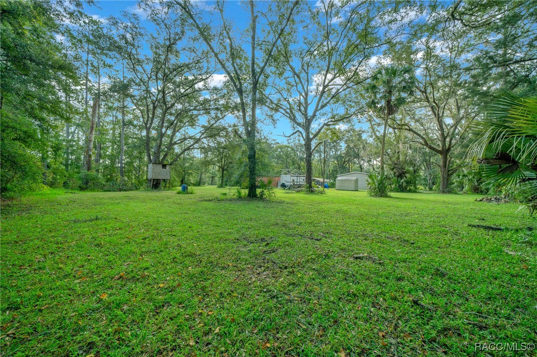 9649 NE 91st Terrace, Fort McCoy, Florida image 33