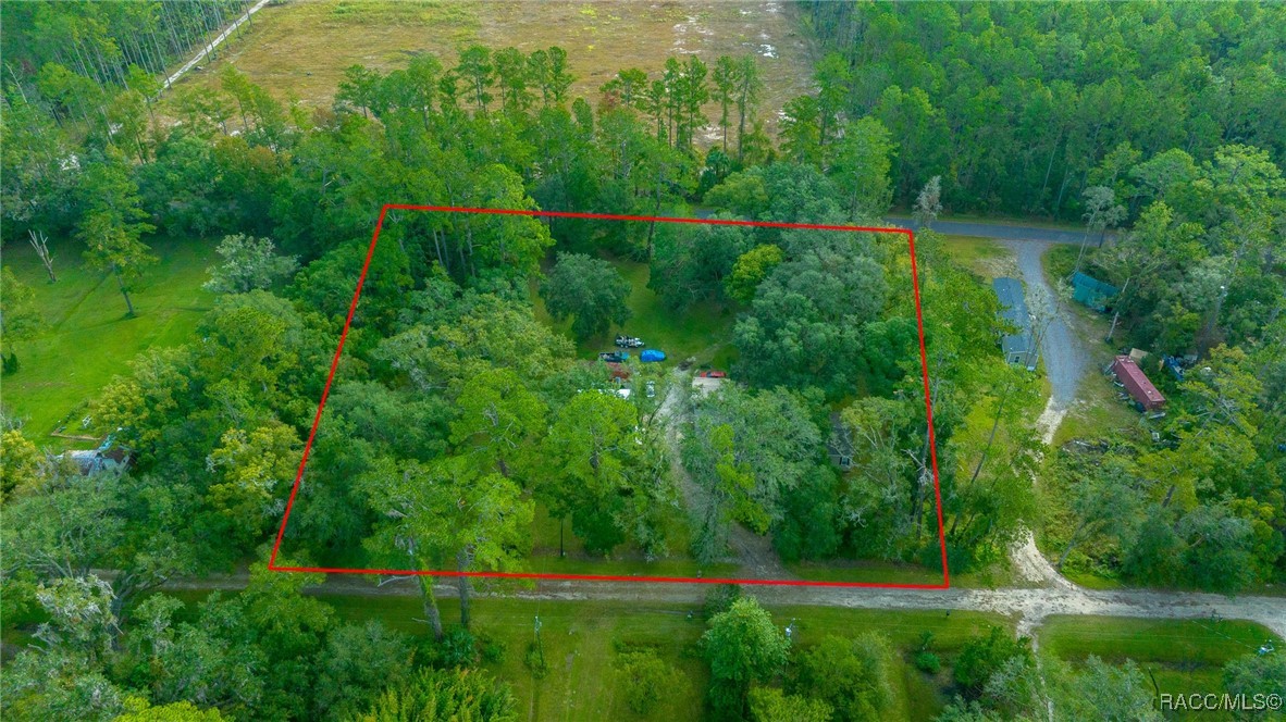 9649 NE 91st Terrace, Fort McCoy, Florida image 34