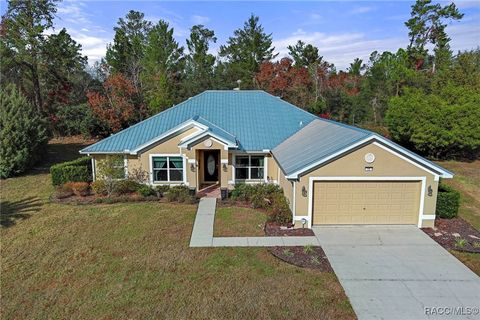 A home in Homosassa