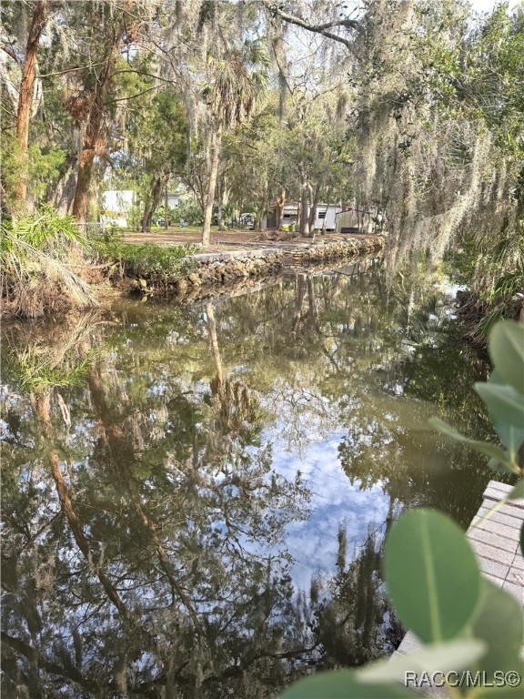 2195 S Gulfwater Point, Crystal River, New York image 12