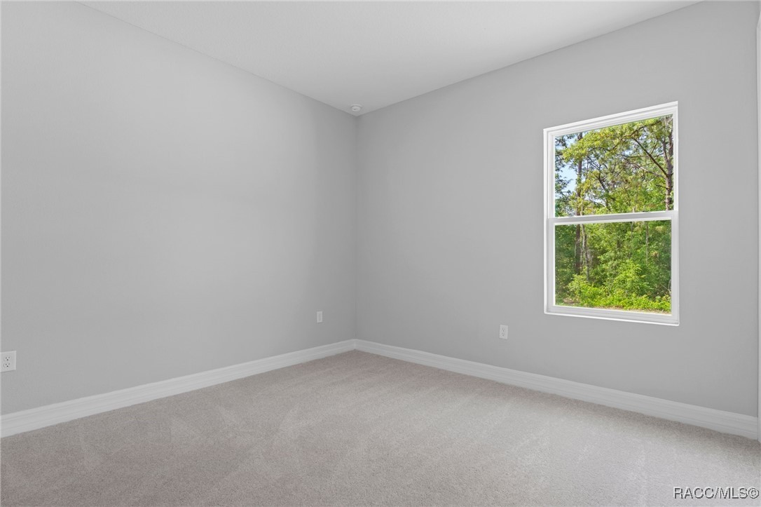 1538 E Mckinley Street #A57, Hernando, New York image 38