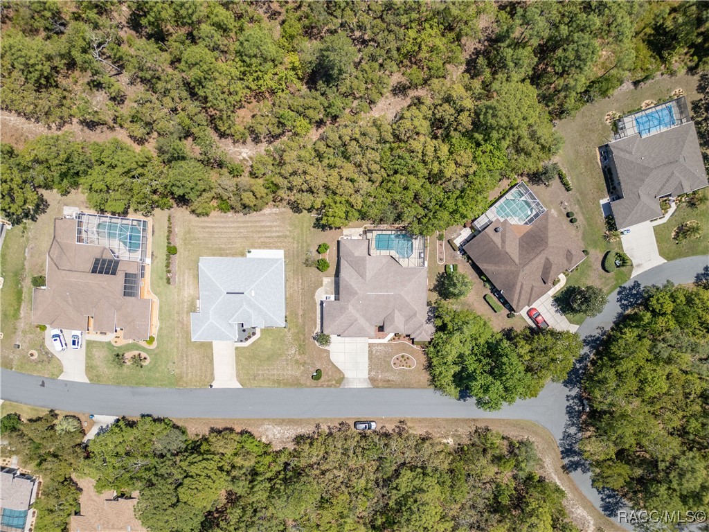 19 Plumbago Court, Homosassa, Florida image 45