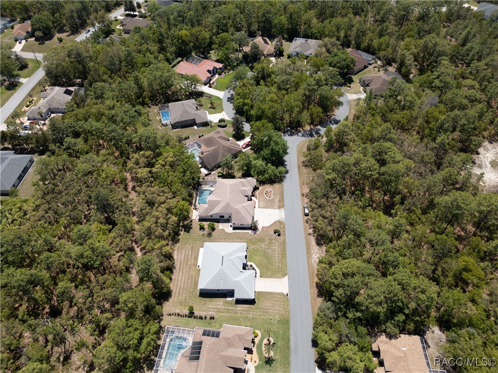 19 Plumbago Court, Homosassa, Florida image 46