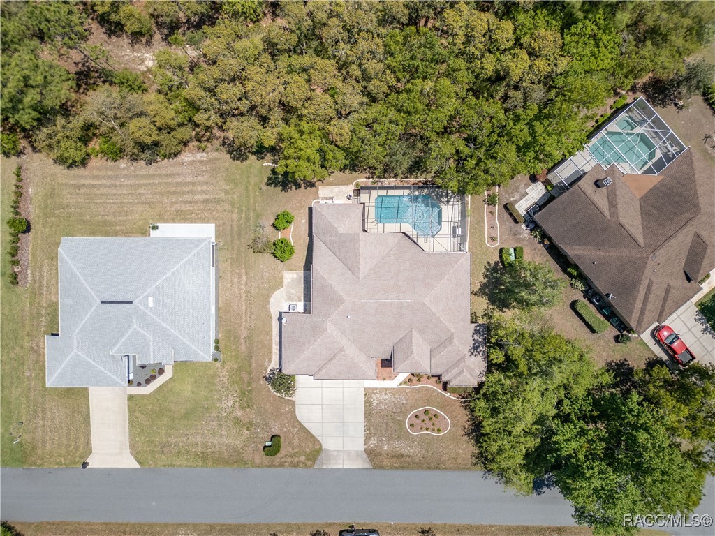 19 Plumbago Court, Homosassa, Florida image 43