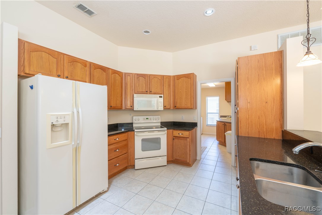 19 Plumbago Court, Homosassa, Florida image 19