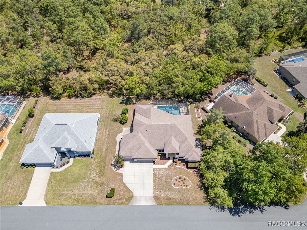 19 Plumbago Court, Homosassa, Florida image 42