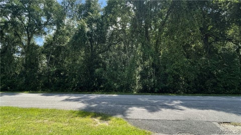 Vacant Land For Sale - 11682 E Hawk Lane<br/> Floral City, FL 34436