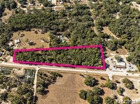 Vacant Land For Sale - 000 S Hwy 25 Highway<br/> Weirsdale, FL 32195