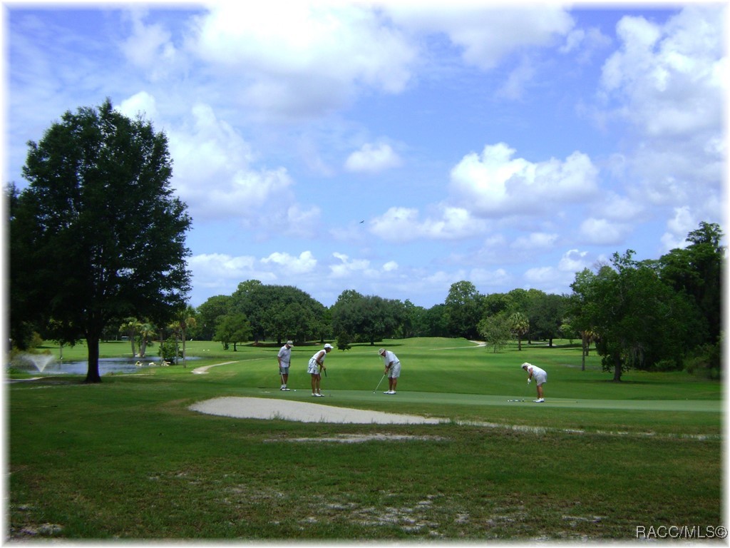 6255 W Weston Drive, Crystal River, Florida image 47