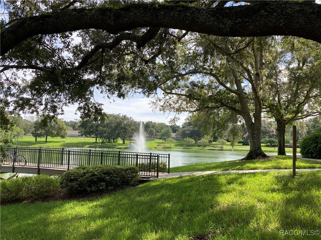 6255 W Weston Drive, Crystal River, Florida image 33