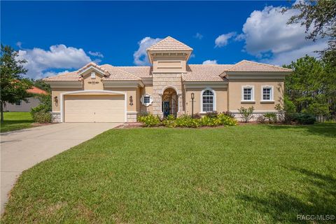 201 S Paladinn Circle Inverness FL 34453