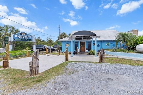 13982 W Ozello Trail 100 Crystal River FL 34429